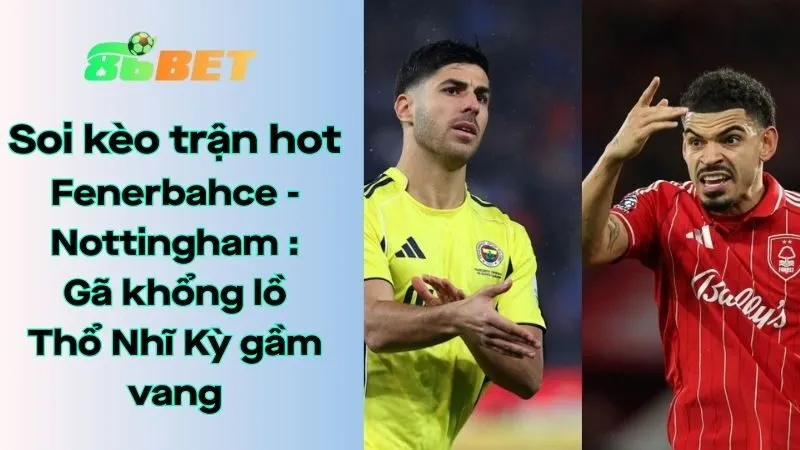 Soi kèo nhà cái 86BET Fenerbahce - Nottingham Forest: 00h45 - 20/02/2026 - Europa League