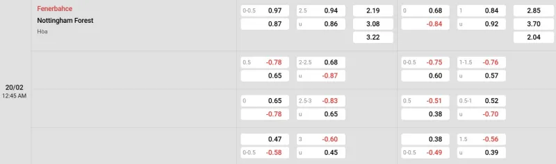 Cập nhật tỷ lệ kèo trận đấu giữa Fenerbahce vs Nottingham Forest
